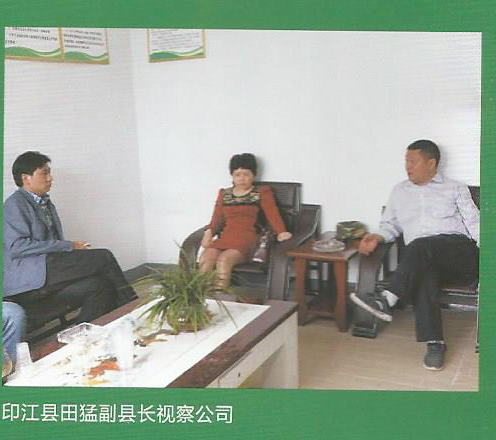 印江县田猛副县长视察公司